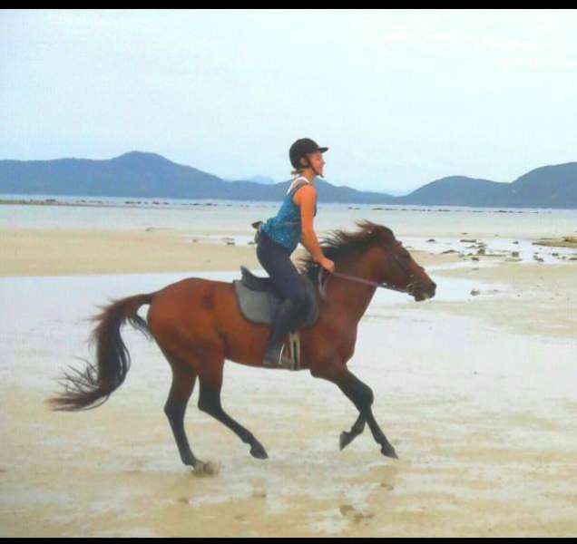 balade cheval koh samui