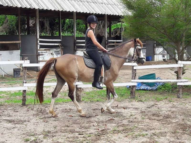 balade cheval koh samui
