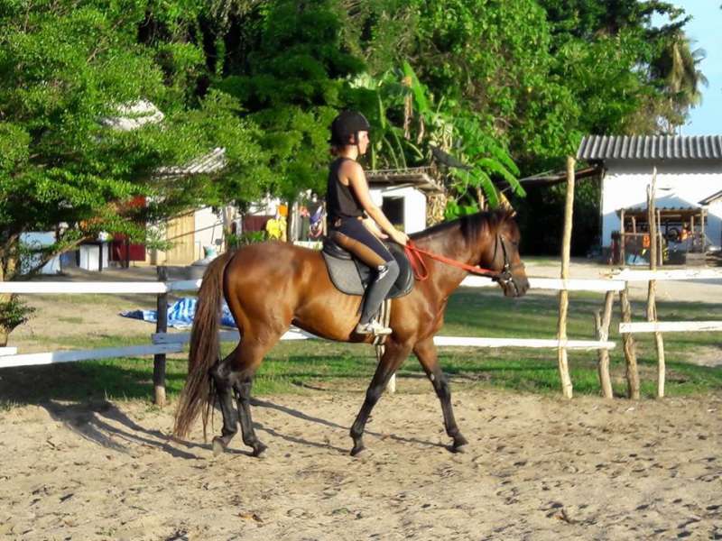 balade cheval koh samui